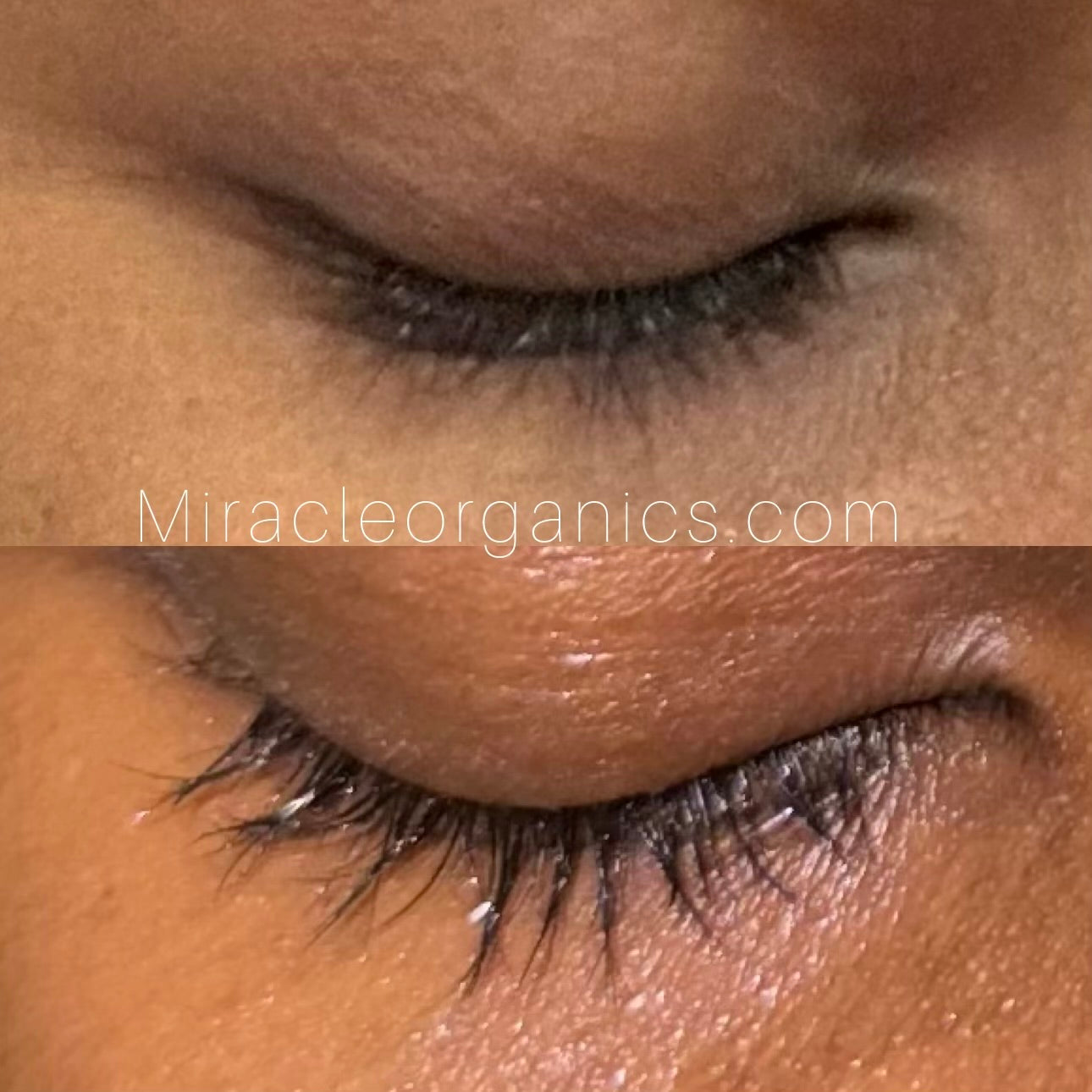 Serum pousse cils et sourcils